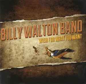 Wish for what you want